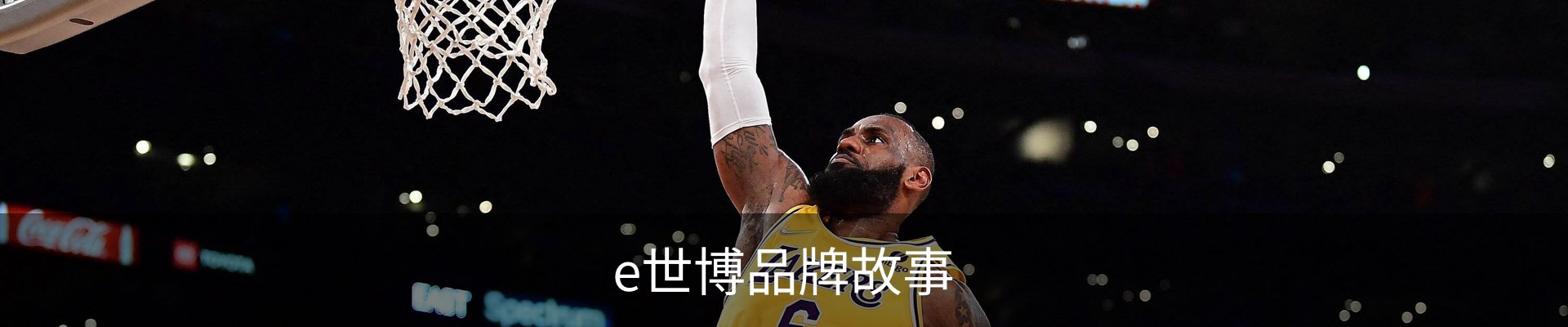 e世博品牌故事
